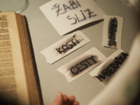 /album/noc-s-andersenom-slizolabacik/slizp1010248-stredne-7-jpg/